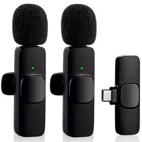 Professional Dual Microphone For Type-C Phone Plug Play Wireless Mic ...