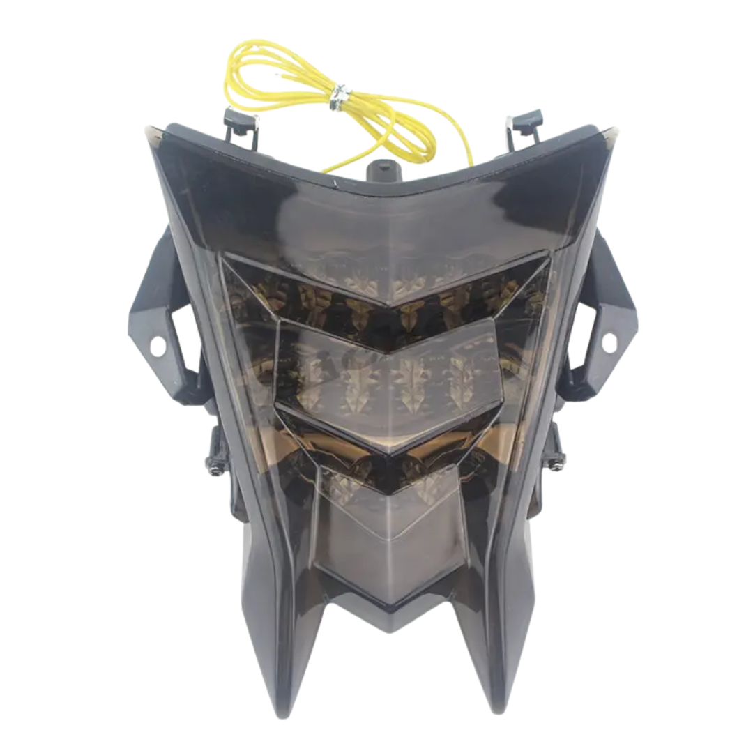 Integrated Taillight Brake & Indicator Light for BMW S1000R/RR (2009