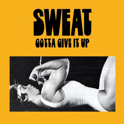 Gotta Give It Up (Vinyl / 12" Album)
