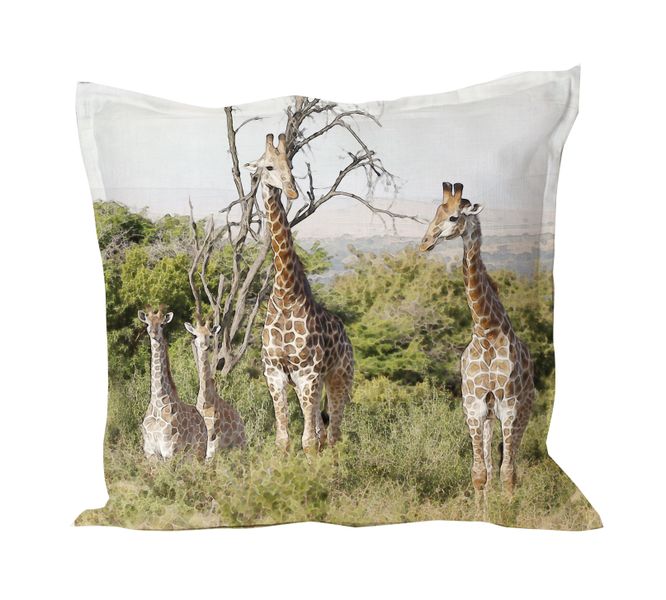 I Love it Here - Giraffe Family