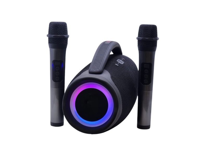 Wireless Portable BT Speaker With 2 Microphone High Bass Sound Quality PK