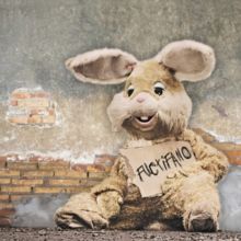 Fuctifano (Vinyl / 12" Album)