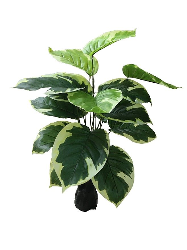 Artificial Plant with Stem Shop Today. Get it Tomorrow!