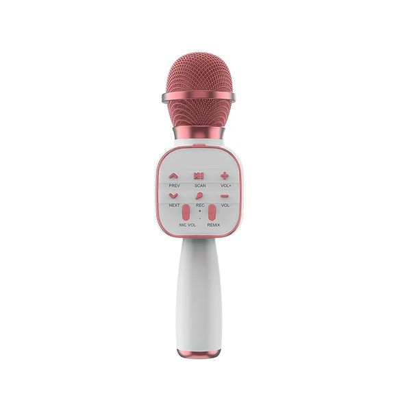 DS813 Bluetooth Karaoke Microphone