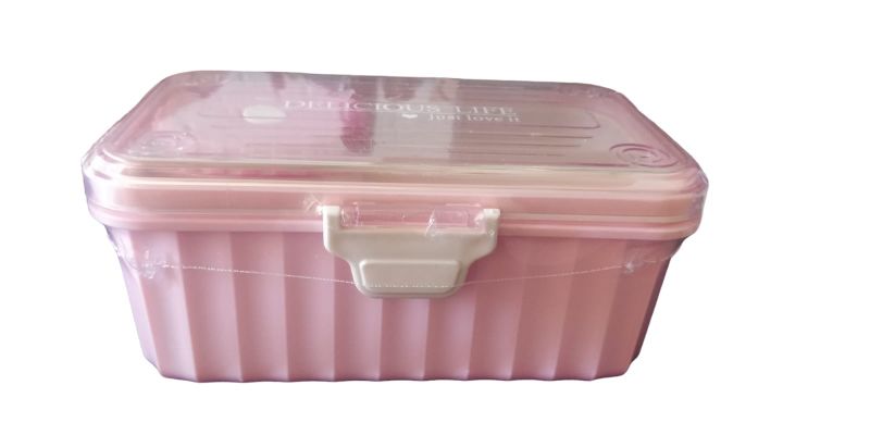 Lunch Box With One Small Container Inside - Microwave Safe