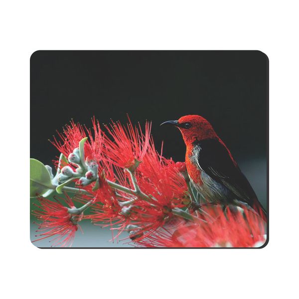 Mouse Pad - Red Bird