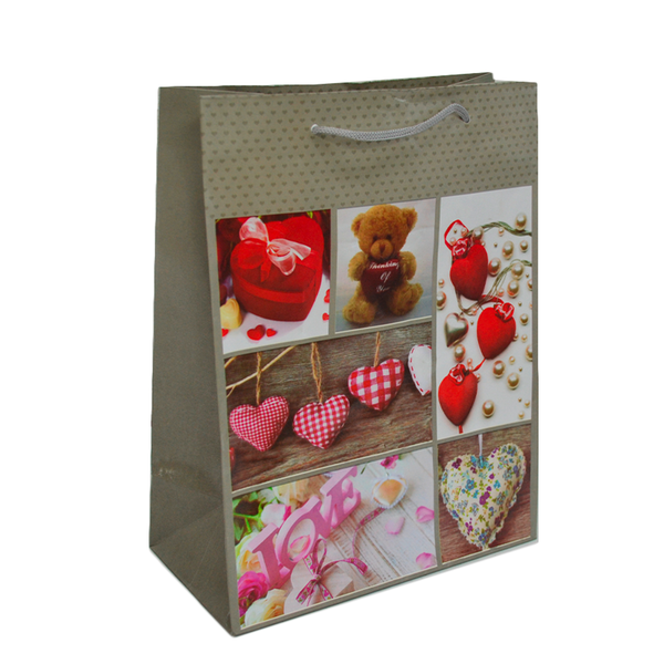 Love Theme Gift Bag - Pack of 10