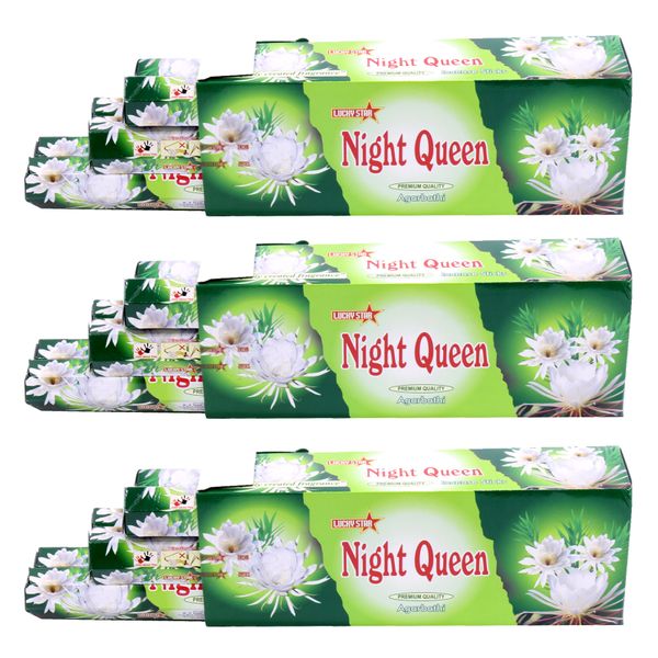 Incense Sticks - Night Queen 9" Premium Quality Agarbatti - 360 Sticks