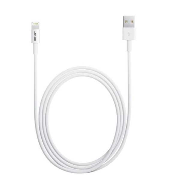 iBesky BS-i6 Lightning 2.1A 1M USB Charge &amp; Data Cable for iPhone