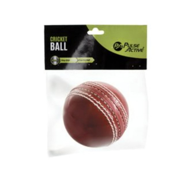 Rubber Cricket Ball Hard