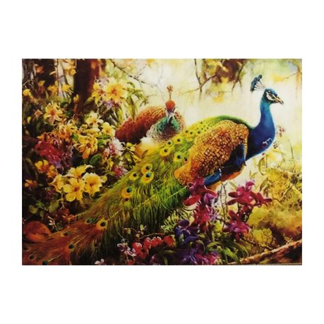 5d Diamond Dot Art Peacock With Flowers Buy Online In South Africa Takealot Com