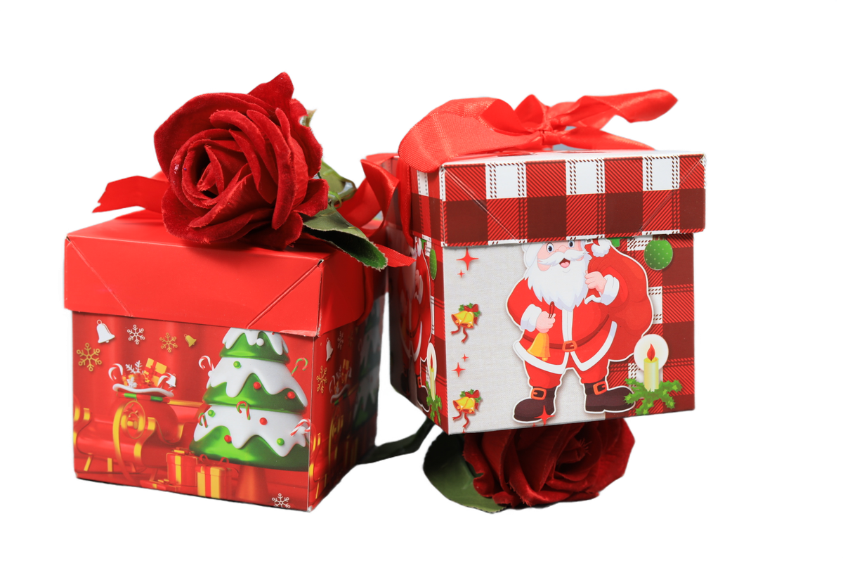 Christmas gift box (Pack of 10 Boxes)