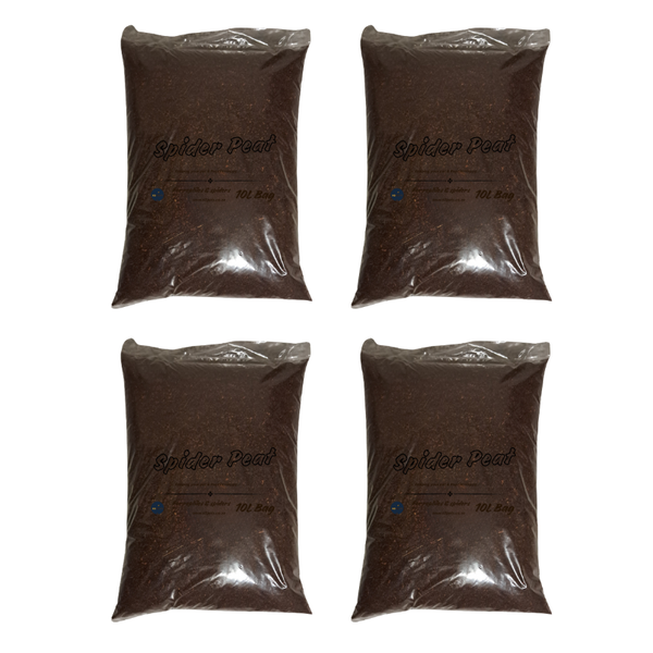 Spider Peat Substrate - 10L Bag (Pack of 4)