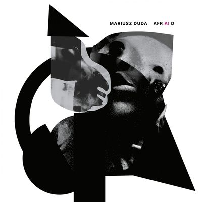 AFR AI D (Vinyl / 12" Album)