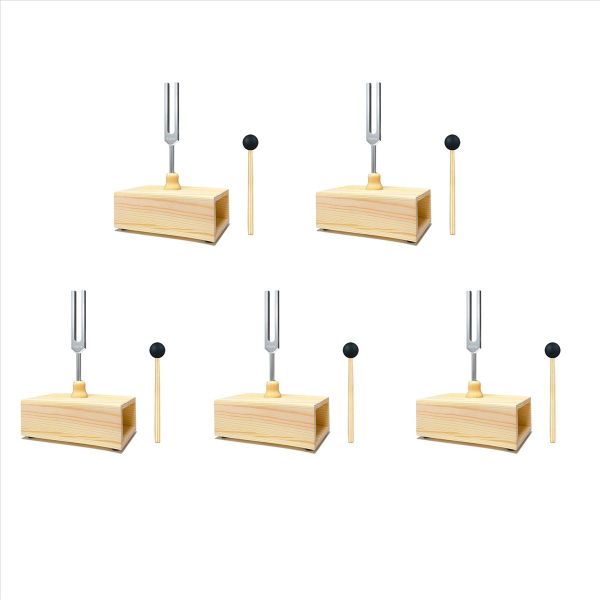 432 Hz Tuning Fork With Resonance Box
