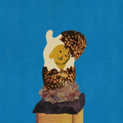 Junior (Vinyl / 12" Album)