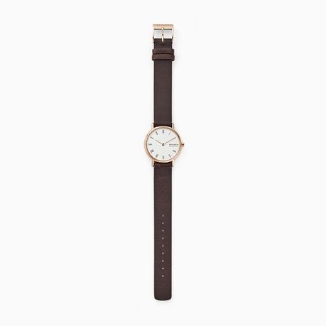 Skagen skw2760 2024