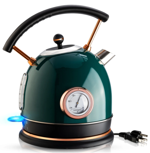 Premium Style Kettle for Modern Kitchens