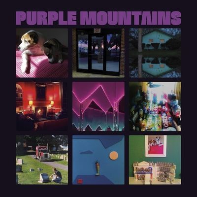 Purple Mountains (Vinyl / 12" Album)