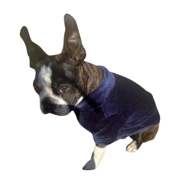 Dog Jersey - 2 Pack - Mongolian Fleece - Navy