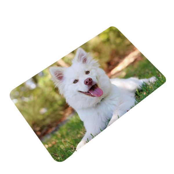 Doormat Golden Retriever Husky White image