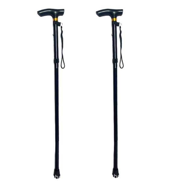 2 Pack Foldable Hiking Trekking Poles