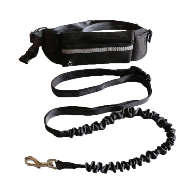 Belt Bag With Elastic Dog Leash