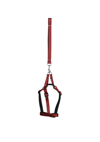 Ultra-Light Dog Harness &amp; Lead Set - Adjustable Safe Straps in 4 Colors