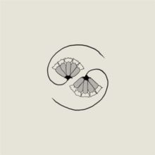 G_d'S Pee at State'S End! (Vinyl / 12" Album with 10" Single)