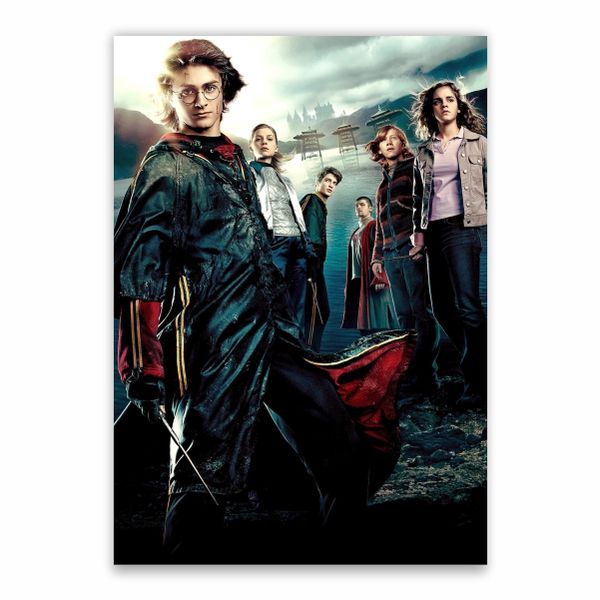 Goblet Of Fire Collage Poster - A1