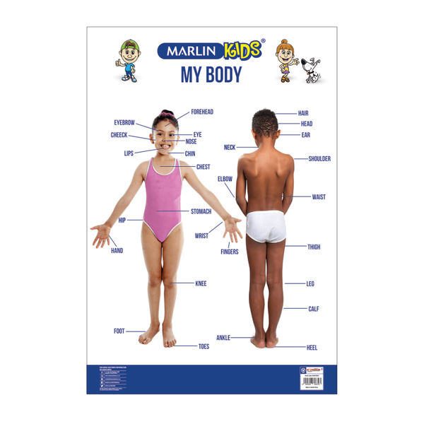 Marlin Kids - My Body Chart (Pack Of 5)