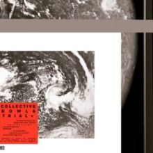 Fishbowl/Terrestrial (Vinyl / 12" Album)