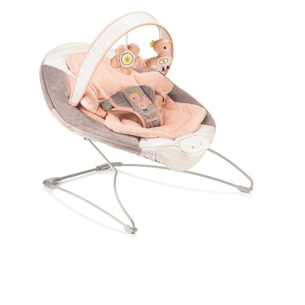 Wellgro Baby Bouncer