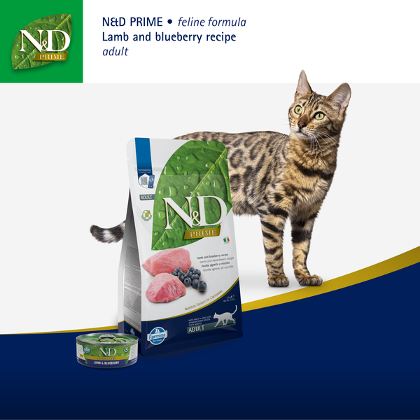 Farmina N&amp;D Prime Lamb &amp; Blueberry Grain Free feline 5kg