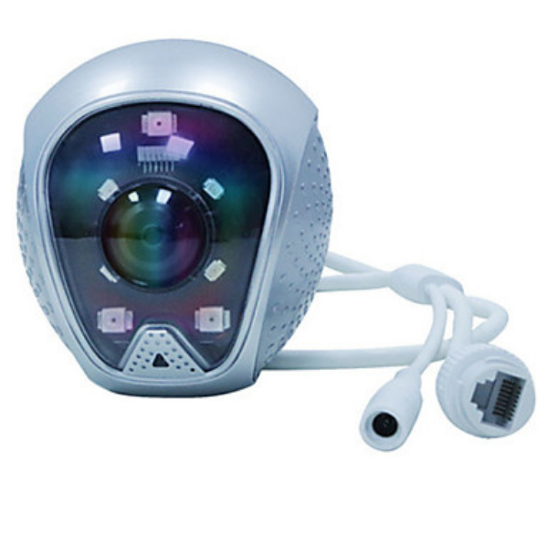 Pedestrian Alarm Bell Camera