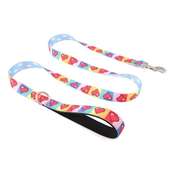 Adjustable Dog Leash with Padded Handle for Small and Medium Dogs