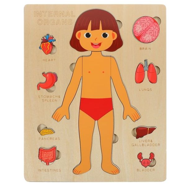 Kids Girl Human Body Anatomy Puzzle Montessori