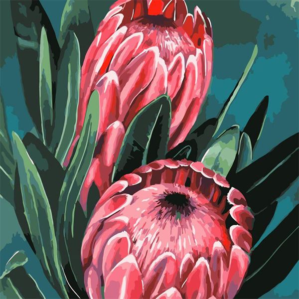 Iconix Painting By Numbers for Adults | Protea Pair
