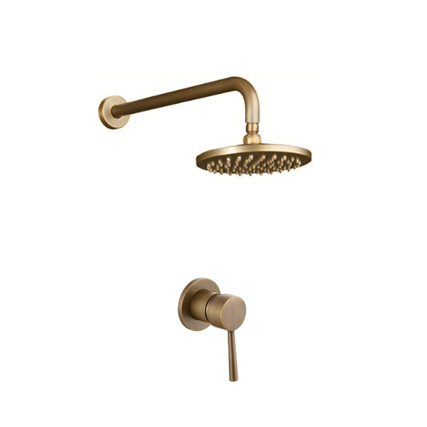 Trendy Taps Premium Quality Brass Shower Head &amp; Fine Mixer