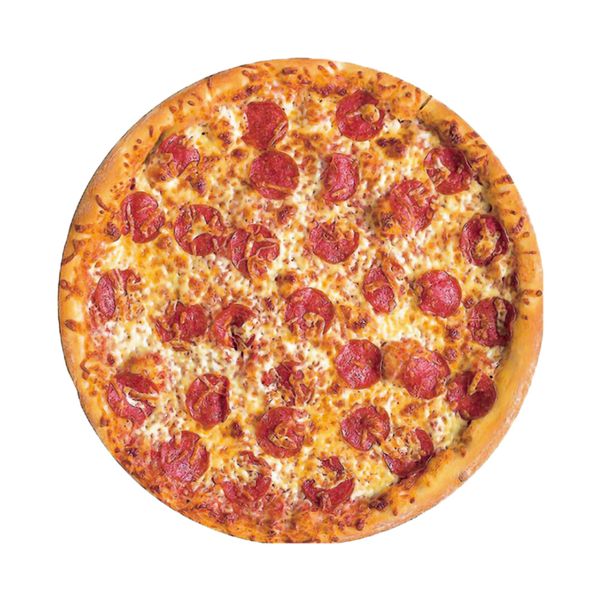Lifelike Pizza Blanket, Soft &amp; Novel Indoor &amp; Outdoor Circular Blanket