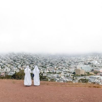 Asphalt Meadows (Vinyl / 12" Album)