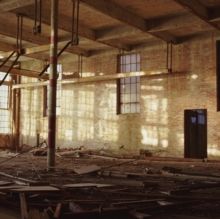 Loom (Vinyl / 12" Album Coloured Vinyl)