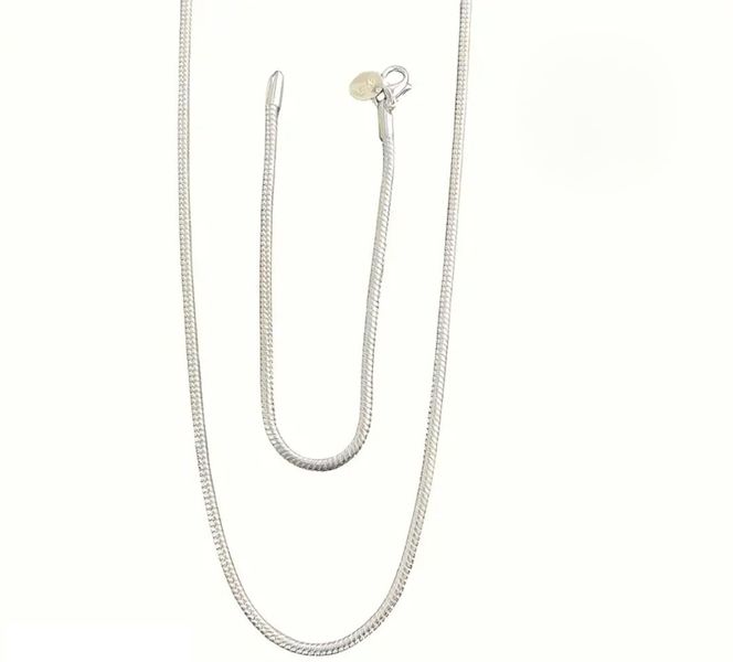 1 Set 925 Snake Chain and Bracelet