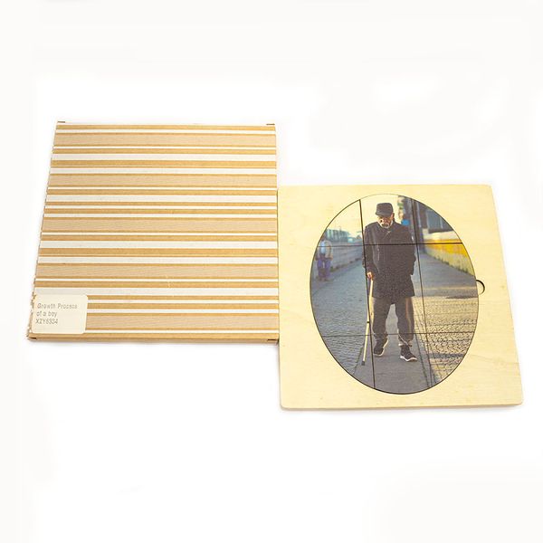 Life Cycle of the Boy Wooden Puzzle