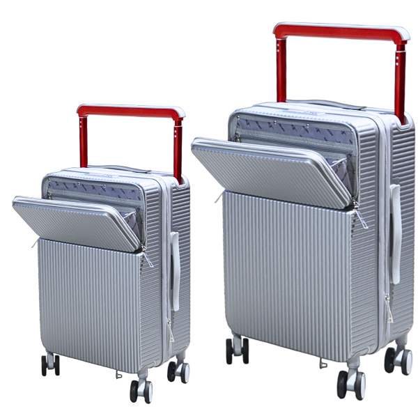 Travel Luggage Bag Set 2 Piece Silver