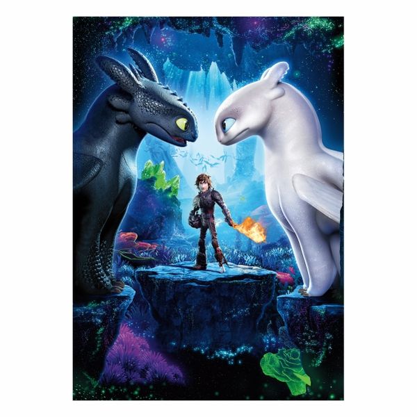 How to Train your Dragon - A1 Poster