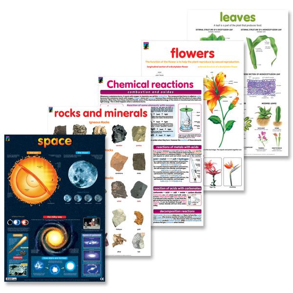 Educat 5 wall chart Basic Education Pack 4