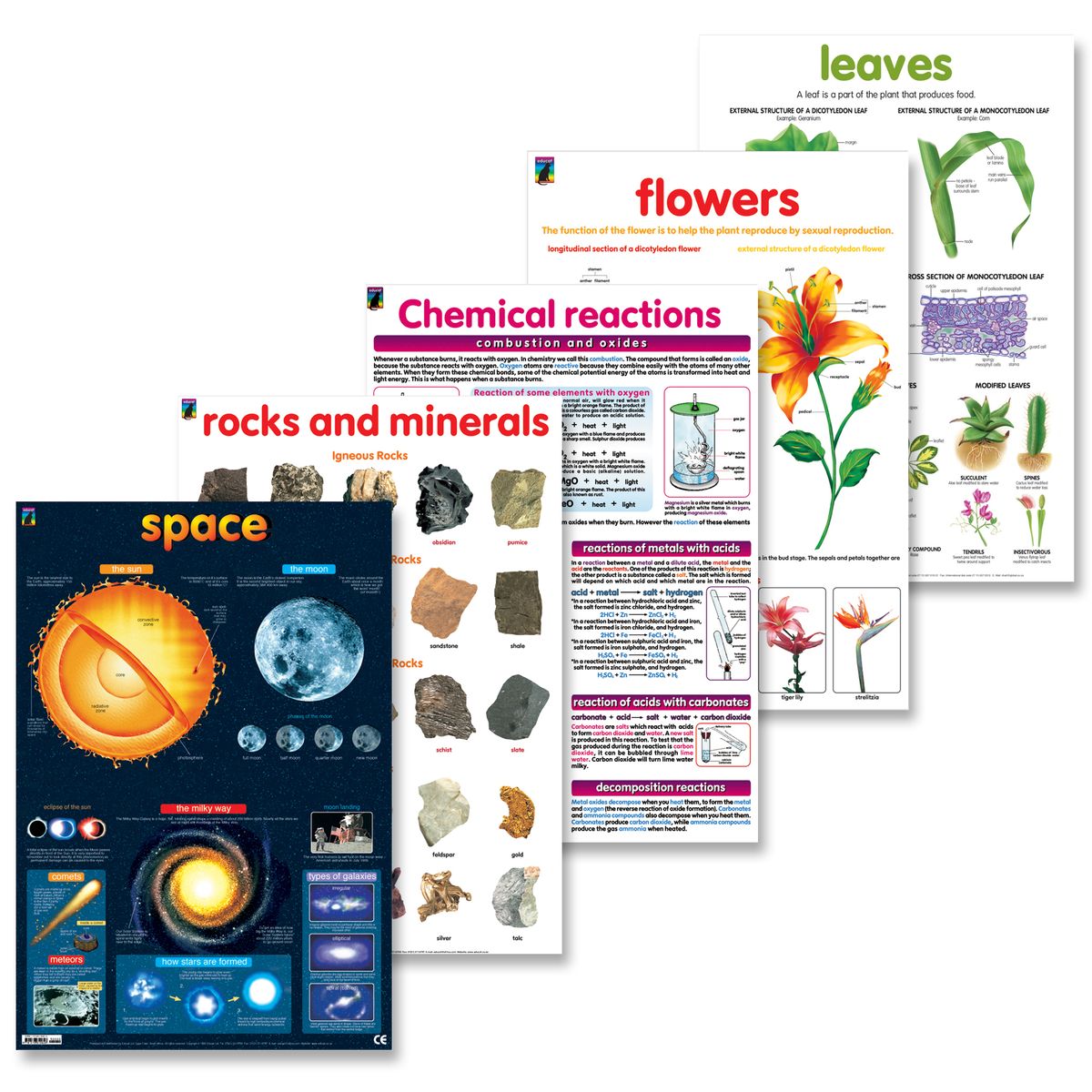 Educat 5 wall chart Basic Education Pack 4 Buy Online in South Africa