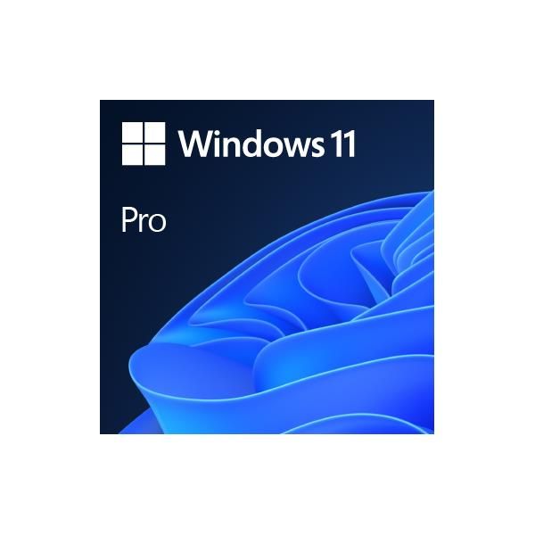 Windows 11 Pro 64 Bit DSP- Physical Product