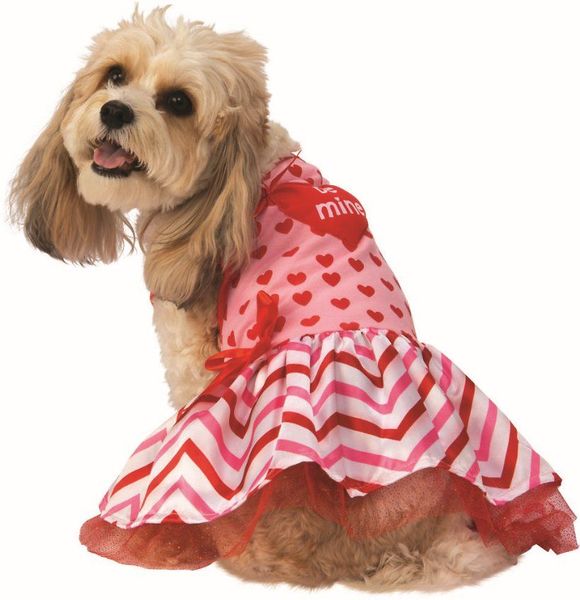 Sweetheart Valentines Pet Costume